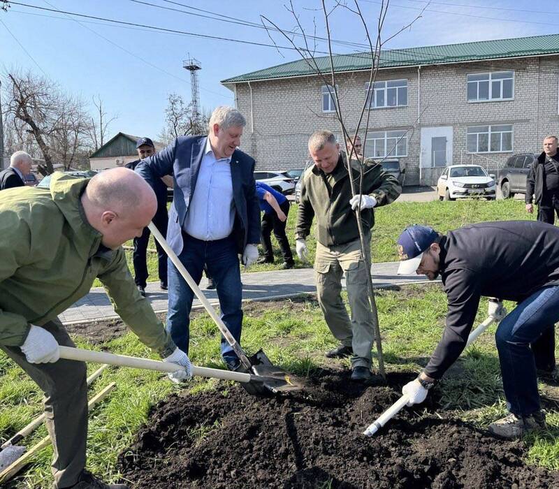 В Харцызске в сквере «Нижегородский» высадили аллею в честь 80-летия Победы в Великой Отечественной войне