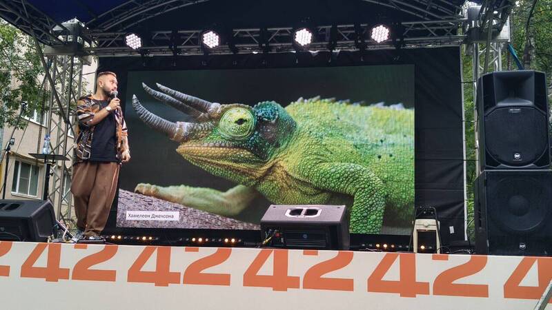 На какие только ухищрения не идут животные ради потомства