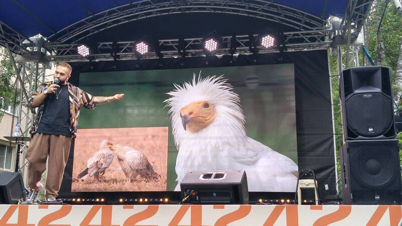 «Фантазии» животных во время ухаживаний не имеют границ