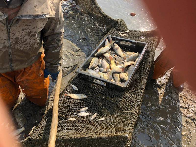 Сезон зарыбления водоемов открыт в Нижегородской области