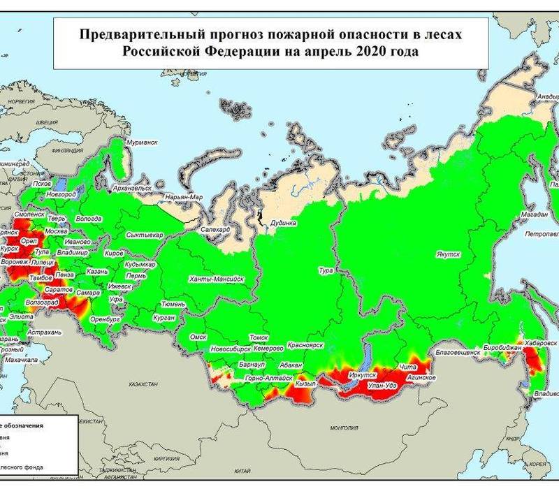 Рослесхоз отчеты