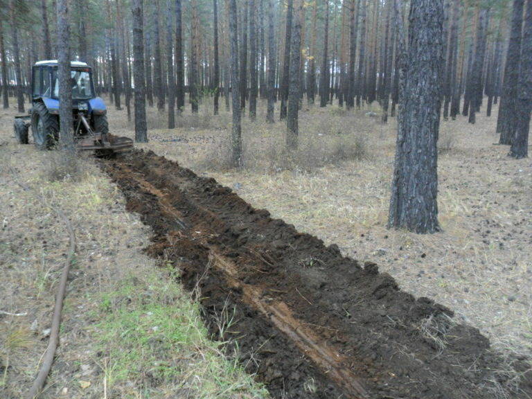 Противопожарное обустройство лесов Нижегородской области выполнено на 85%