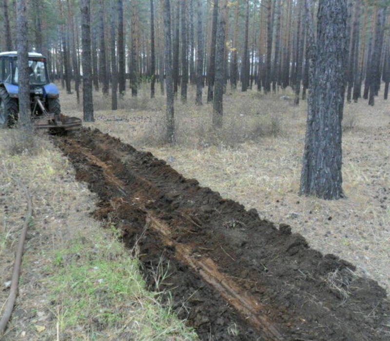 Противопожарное обустройство лесов Нижегородской области выполнено на 85%