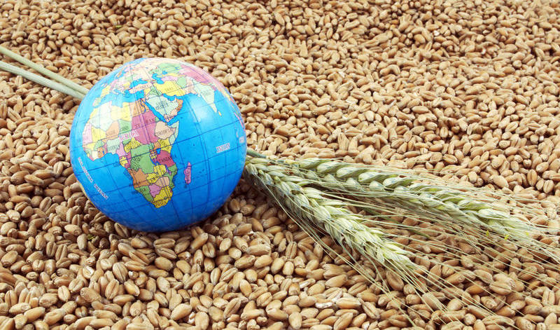 Экспорт продукции АПК вырос на 17 процентов и составил 160 млн долларов