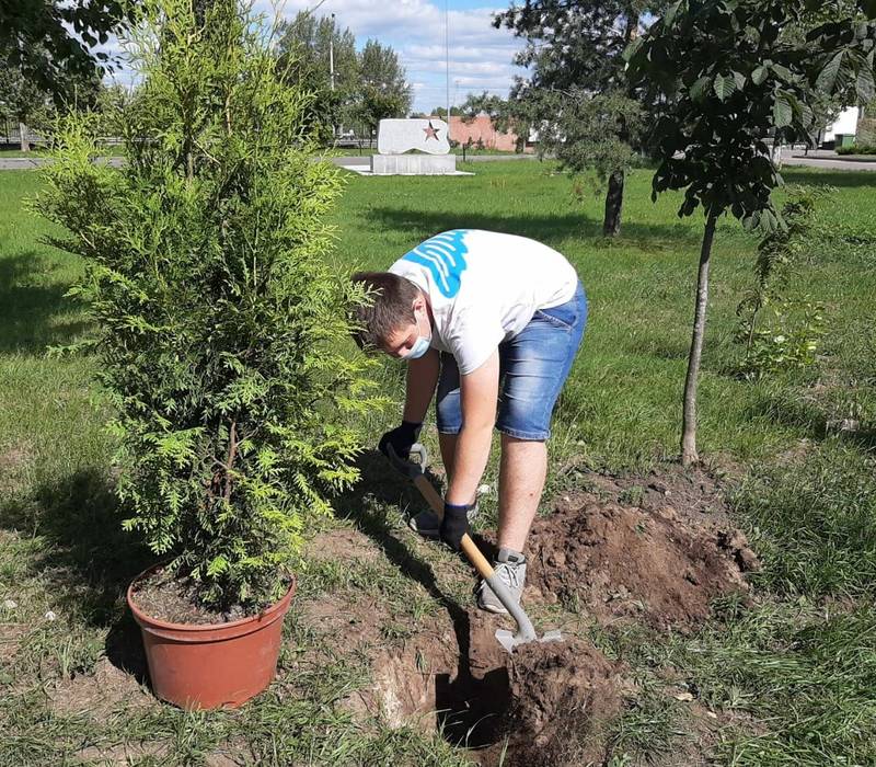 Первые 10 деревьев посадили нижегородцы в «Саду памяти» в Парке Победы