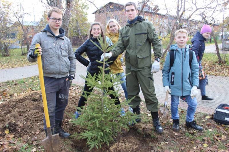 Экологический проект «Хвойный город» стартовал в Нижнем Новгороде