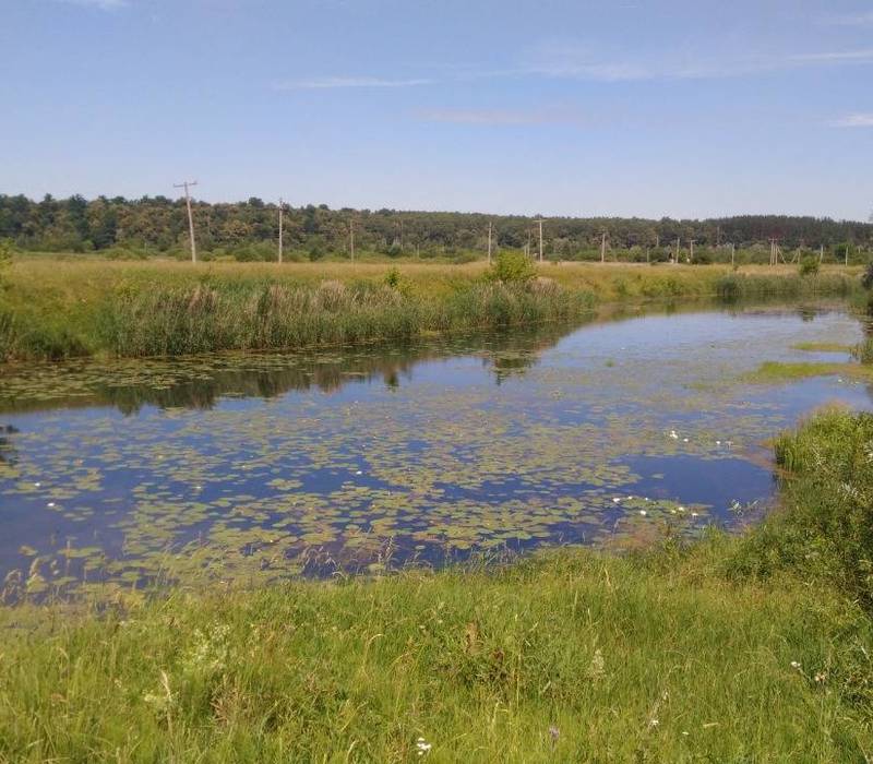 В Нижегородской области начинается расчистка русел рек Тёша, Сатис и Вичкинза