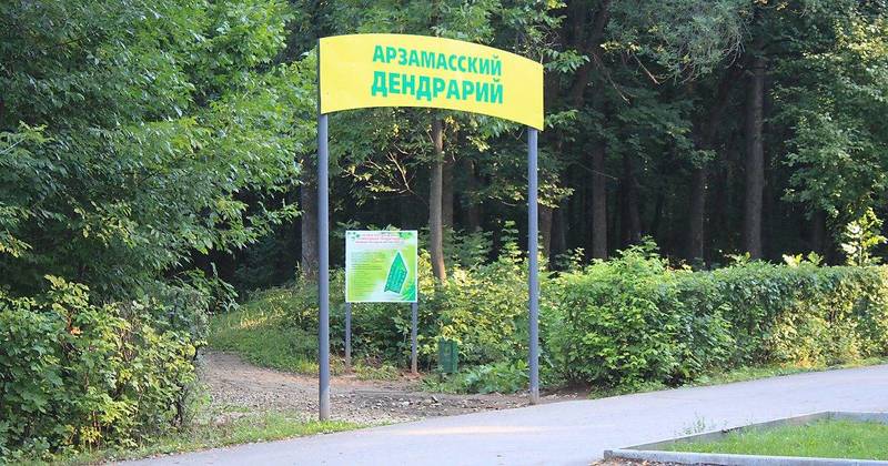 В Арзамасе благоустроят памятник природы регионального значения 