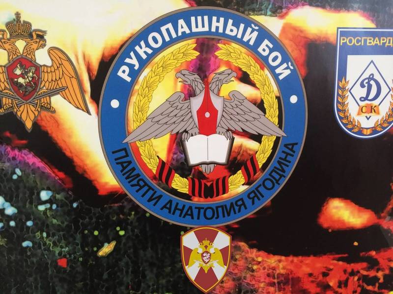 Чемпионат по рукопашному бою памяти военного журналиста пройдет в Нижнем Новгороде