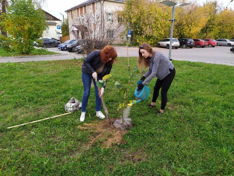В Балахне прошла акция «Сдай бумагу - посади дерево»