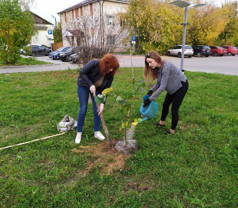 В Балахне прошла акция «Сдай бумагу - посади дерево»
