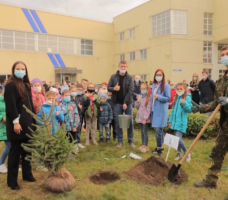 В Нижегородской области завершился проект «Хвойный город»