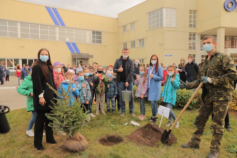 В Нижегородской области завершился проект «Хвойный город»