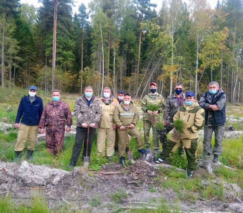 Глеб Никитин: «В Нижегородской области высадили более 200 тысяч деревьев в рамках акции «Сохраним лес»