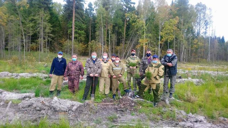 Глеб Никитин: «В Нижегородской области высадили более 200 тысяч деревьев в рамках акции «Сохраним лес»
