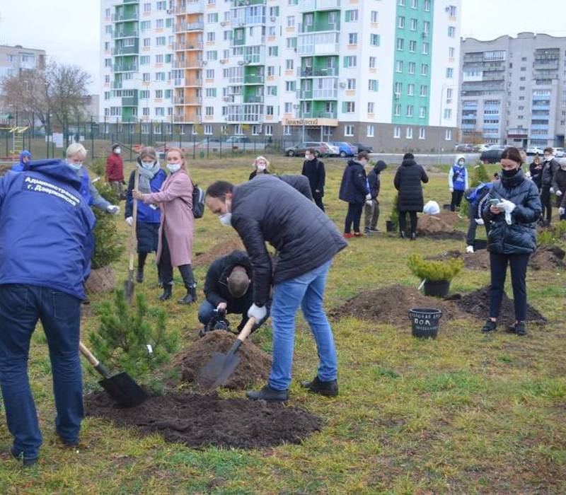 Нижегородский филиал Т Плюс поддержал акцию по озеленению набережной Оки в Дзержинске