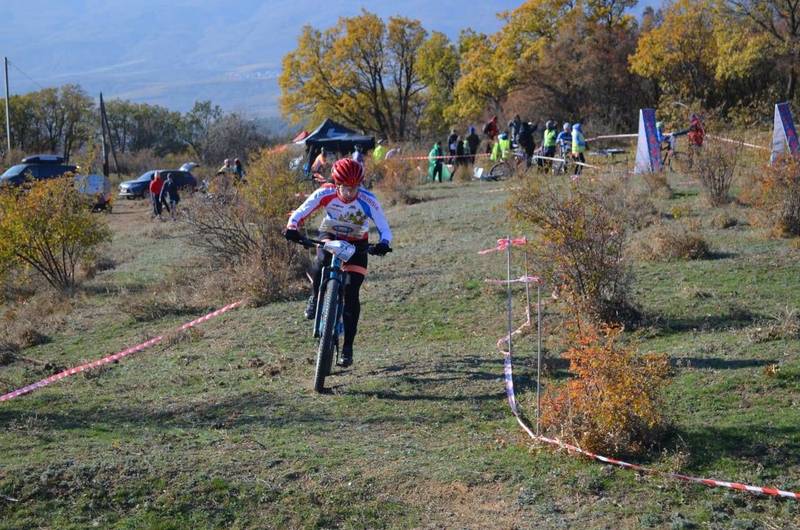 240 медалей завоевали нижегородцы после возобновления спортивного сезона