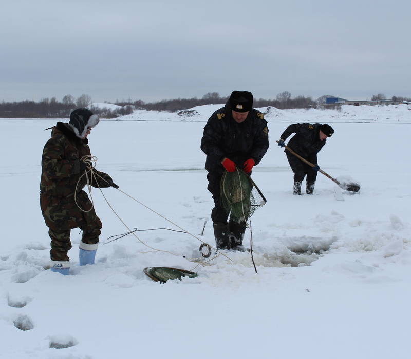 С 20 декабря в Нижегородской области вводятся ограничения на добычу налима