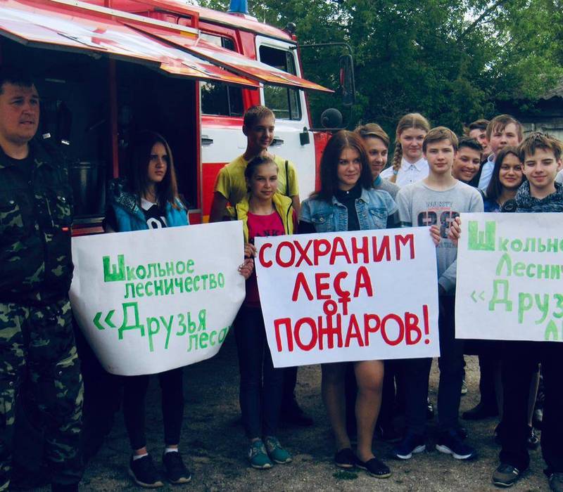 Количество школьных лесничеств в Нижегородской области в 2021 году увеличится 