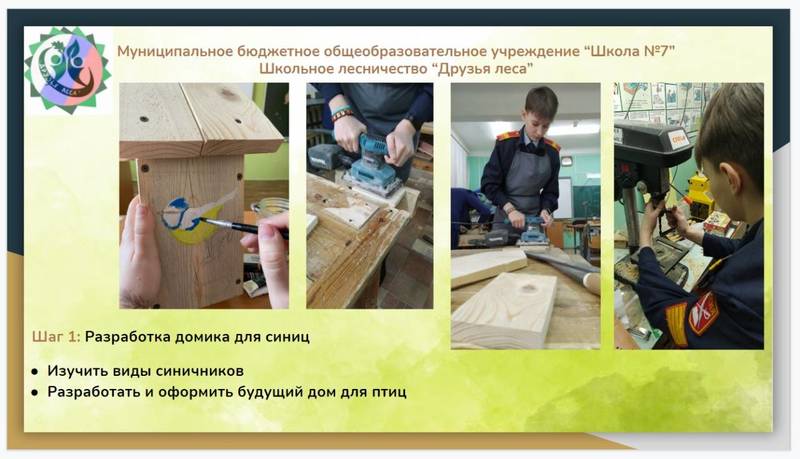 В Нижегородской области завершился региональный интернет-проект для школьников «Лес будущего»
