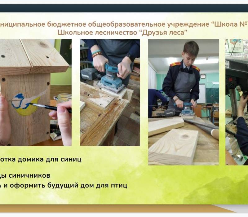 В Нижегородской области завершился региональный интернет-проект для школьников «Лес будущего»