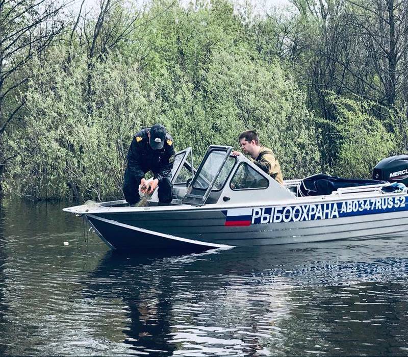 Нижегородская область присоединилась к Всероссийскому дню без сетей