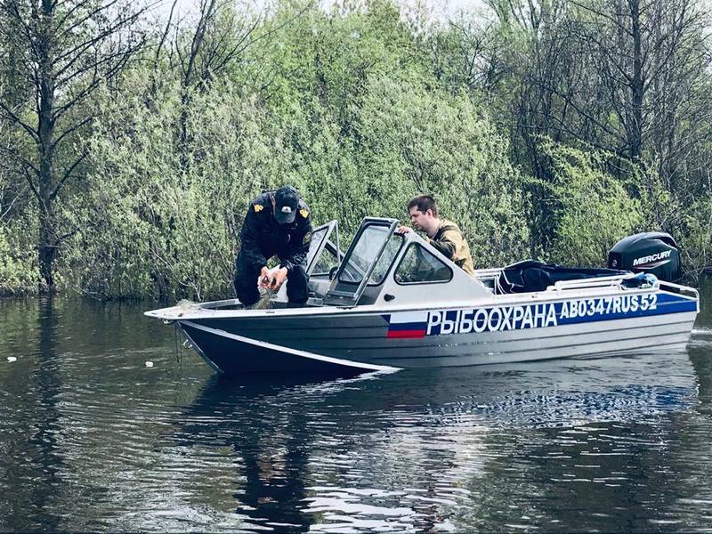 Нижегородская область присоединилась к Всероссийскому дню без сетей