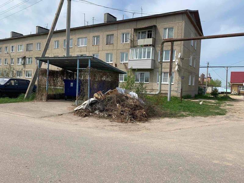 Министр экологии Нижегородской области Денис Егоров поручил до конца недели ликвидировать навалы мусора в регионе  