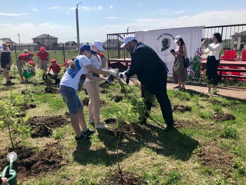 Более 200 деревьев и кустарников высадили в Богородском районе в рамках международной акции «Сад памяти»