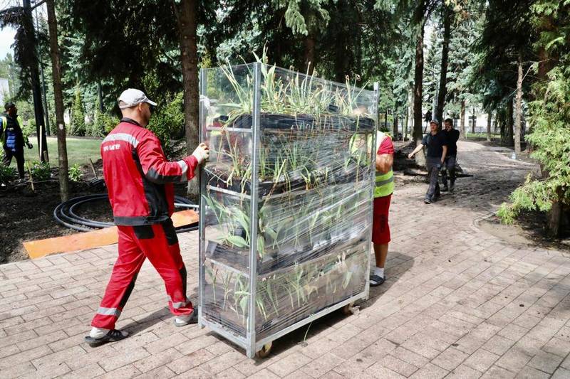 В Нижегородском кремле завершается благоустройство елового сквера