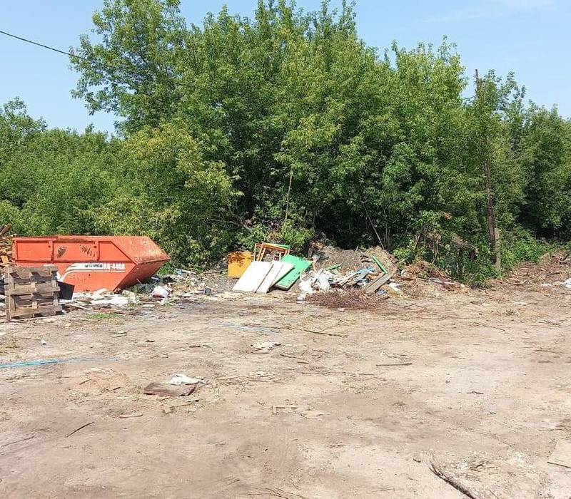 Несанкционированную свалку в Красных Баках должны ликвидировать в течение 30 дней