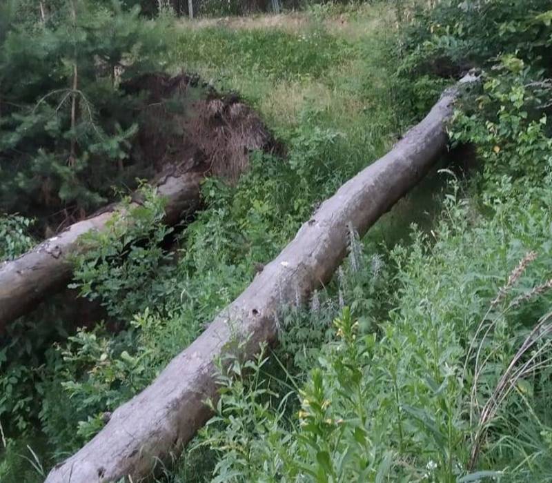 Инвалиды озабочены состоянием реабилитационного центра