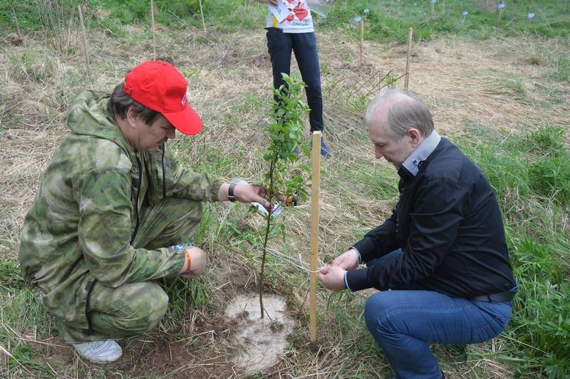 Две тысячи саженцев высадили волонтеры в рамках патриотической акции в Нижегородской области