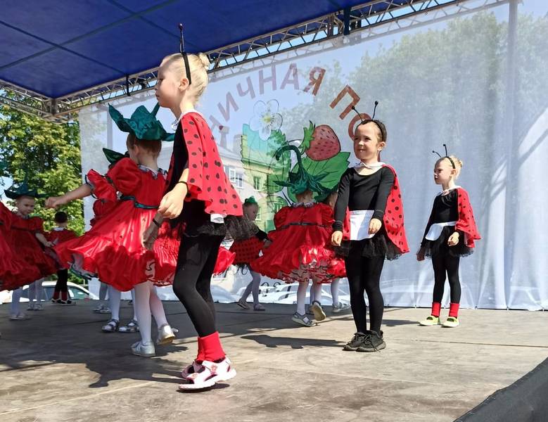 В Кстове прошел первый районный фестиваль «Земляничная поляна»