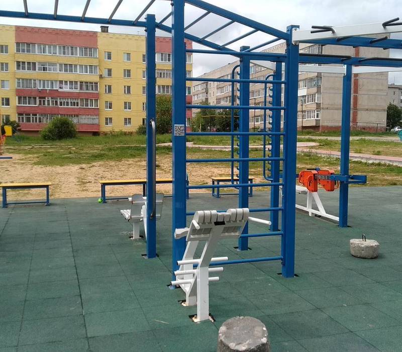 В Нижегородской области на площадках для воркаута появились QR-коды с доступом к видеоурокам