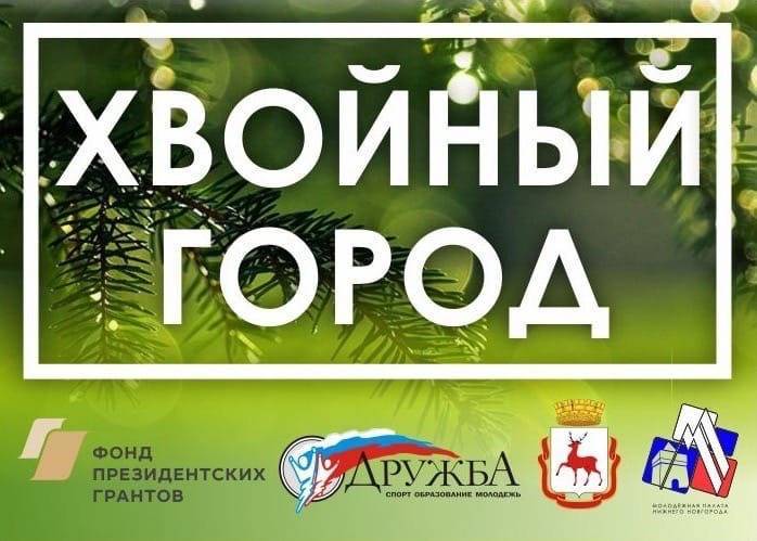 В Нижнем Новгороде открыт прием заявок на участие в V региональном проекте «Хвойный город» 