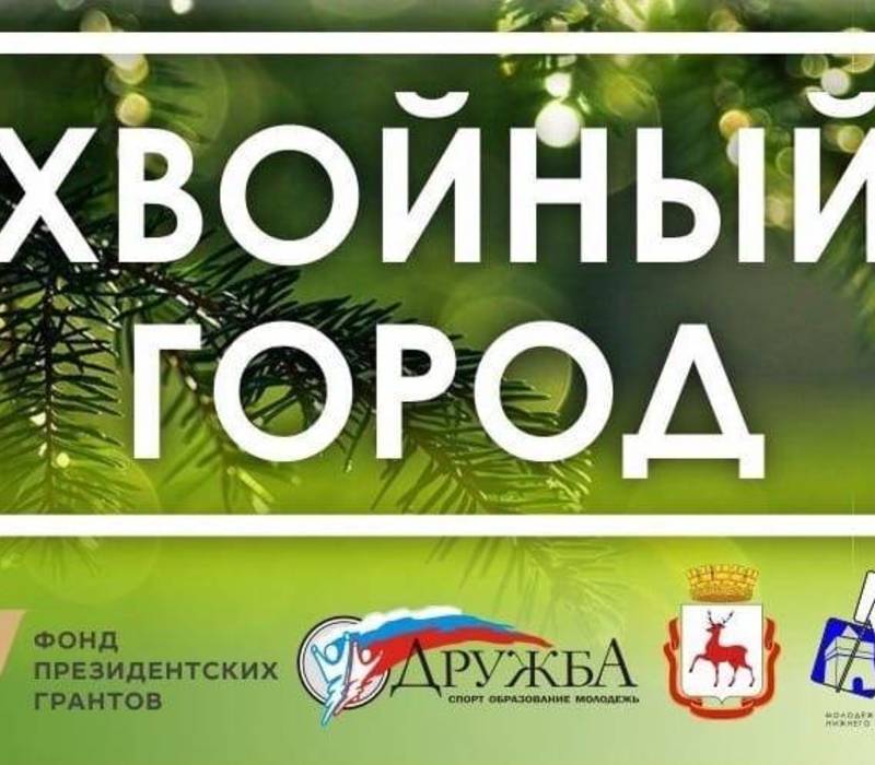 В Нижнем Новгороде открыт прием заявок на участие в V региональном проекте «Хвойный город» 