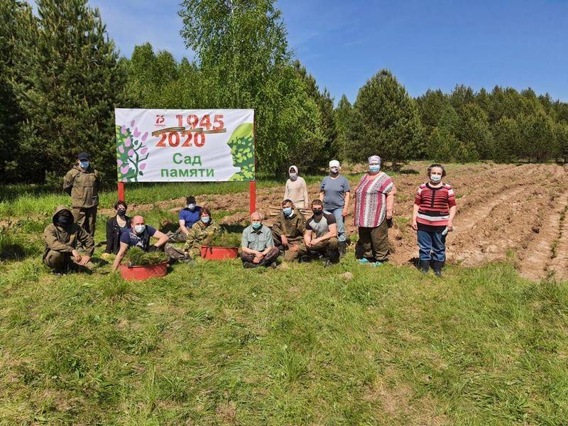 Более 300 тысяч деревьев высадят в Нижегородской области в рамках международной акции «Сад памяти»