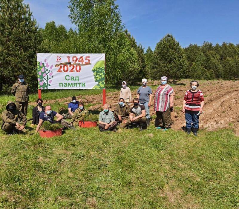 Более 300 тысяч деревьев высадят в Нижегородской области в рамках международной акции «Сад памяти»