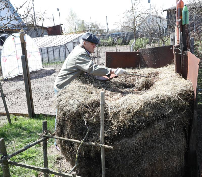Спой колыбельную саду