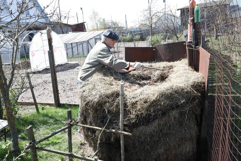 Спой колыбельную саду