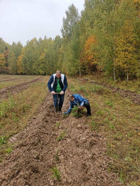 Нижегородская область вошла в топ-5 лидеров экочеленджа в поддержку акции «Сохраним лес»
