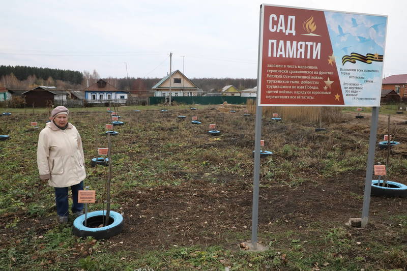 Будут в Марьино яблони цвести, напоминая о погибших в войну земляках