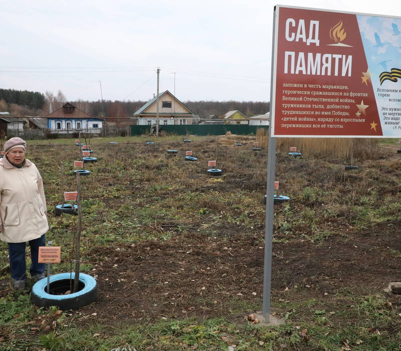 Будут в Марьино яблони цвести, напоминая о погибших в войну земляках