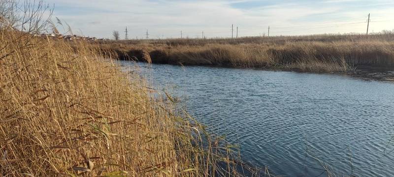 Почти 100 жалоб на нарушения водоохранного законодательства рассмотрело Минэкологии Нижегородской области в 2021 году