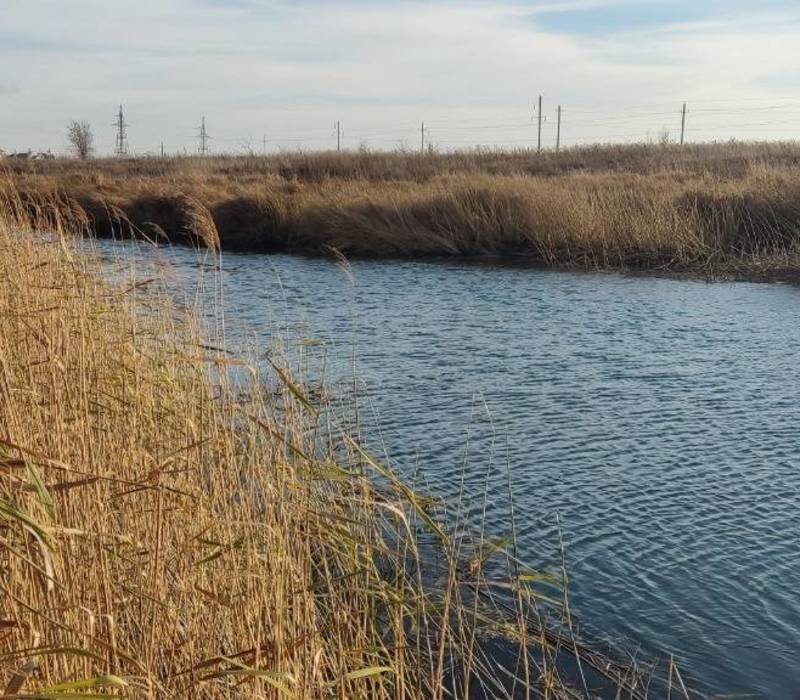 Почти 100 жалоб на нарушения водоохранного законодательства рассмотрело Минэкологии Нижегородской области в 2021 году