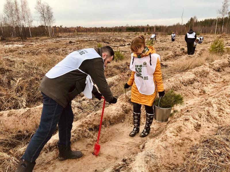 Глеб Никитин: «Нижегородская область вошла в пятерку лучших регионов России по итогам акции «Сохраним лес» 