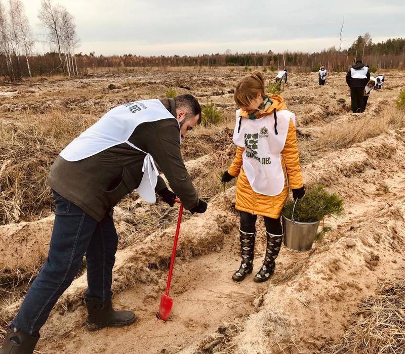 Глеб Никитин: «Нижегородская область вошла в пятерку лучших регионов России по итогам акции «Сохраним лес» 