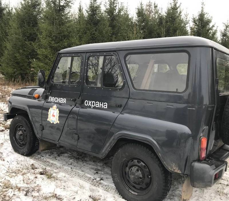 В Нижегородской области стартовала акция «Елочка, живи!»