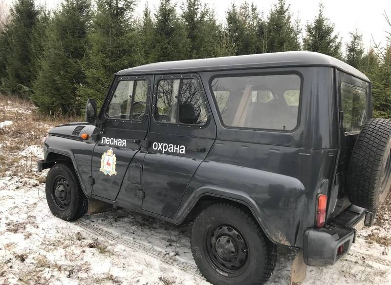 В Нижегородской области стартовала акция «Елочка, живи!»